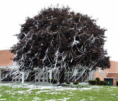 A large, densely foliaged tree with dark purple or burgundy leaves situated in a grassy area outdoors, adjacent to a brick building with white-framed windows and a pitched roof. The tree's branches extend outward and downward, with some extending close to the ground. The ground beneath the tree is partially covered in scattered white debris or fallen leaves, contrasting with the green grass. In the background, a paved pathway runs near the building, and the scene is lit with natural daylight, suggesting a cloudy or overcast sky. This image exemplifies the type of site cleaned by Commercial Waste Deptford for rubbish removal services in the Deptford area, possibly involving clearance of garden waste or overgrown foliage in urban or suburban environments.